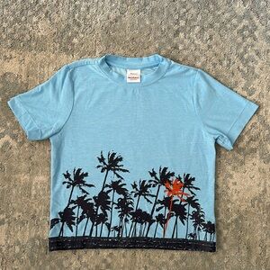 Hannah Andersson boy’s shirt